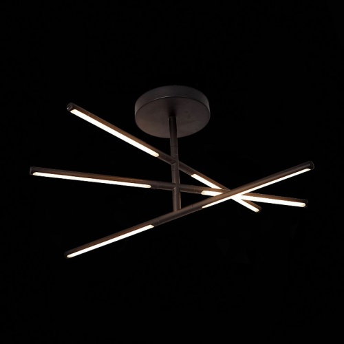 Светильник на штанге ST-Luce Ralio SL1580.403.03 в Нижнем Новгороде фото 2