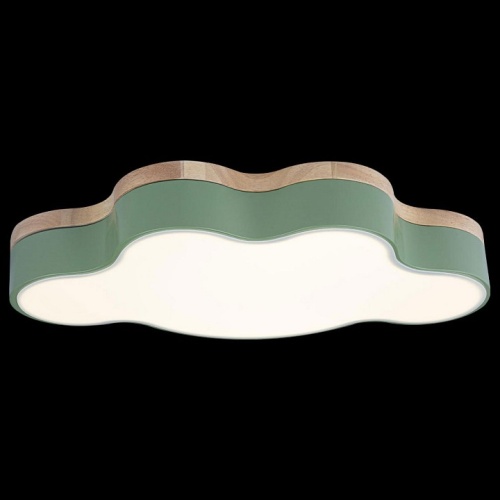 Накладной светильник Loft it Axel 4 10005/30 Green в Нижнем Новгороде фото 2