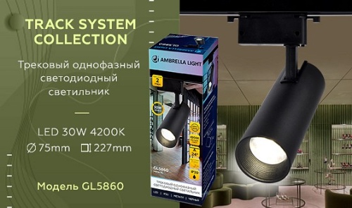 Светильник на штанге Ambrella Light GL GL5860 в Нижнем Новгороде фото 3