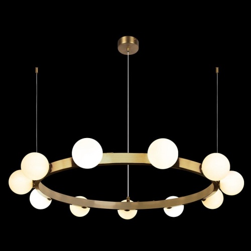 Подвесная люстра Loft it Hoop 10311/14 в Нижнем Новгороде фото 6