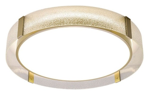 Накладной светильник Zortes Gerda ZRS.1097.60 в Нижнем Новгороде фото 4