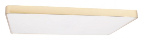 Накладной светильник Loft it Flims 10228/E в Нижнем Новгороде фото 9