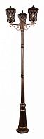 Фонарный столб 09017-0.7-003SL 2.2M BKG в Нижнем Новгороде