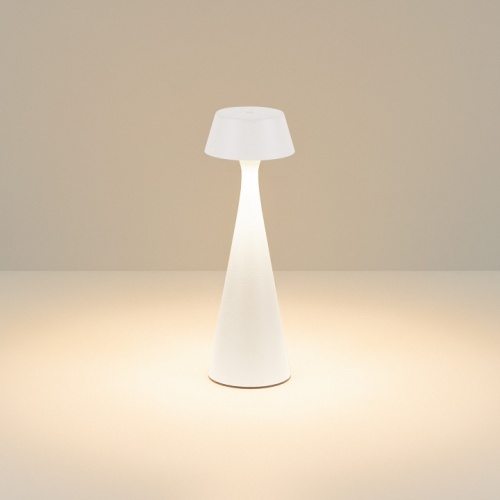 Настольная лампа декоративная Arlight TOMMY 058565 в Нижнем Новгороде фото 3