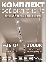 Комплект трековый Hesby Lighting Skylite №3 HSBL_kompl_S003_VI4W3K в Нижнем Новгороде