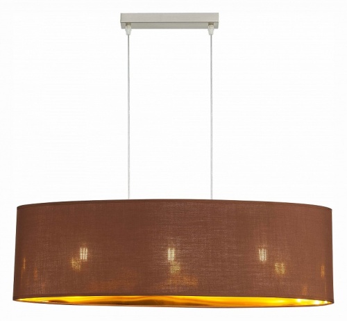 Подвесной светильник EVOLUCE Brescia SLE300553-03 в Нижнем Новгороде фото 4
