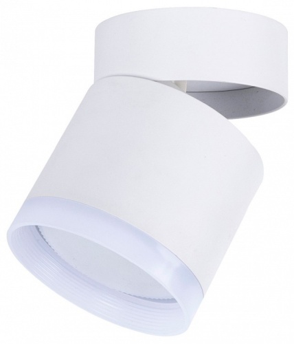 Накладной светильник Favourite Dixi 4709-1C в Нижнем Новгороде