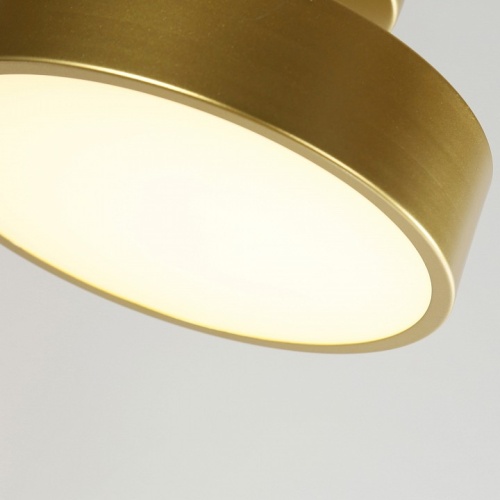 Светильник на штанге F-promo Atma 3059-2P в Нижнем Новгороде фото 2