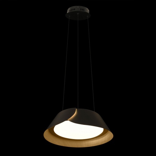 Подвесной светильник Loft it Lane 10370P Black в Нижнем Новгороде фото 6