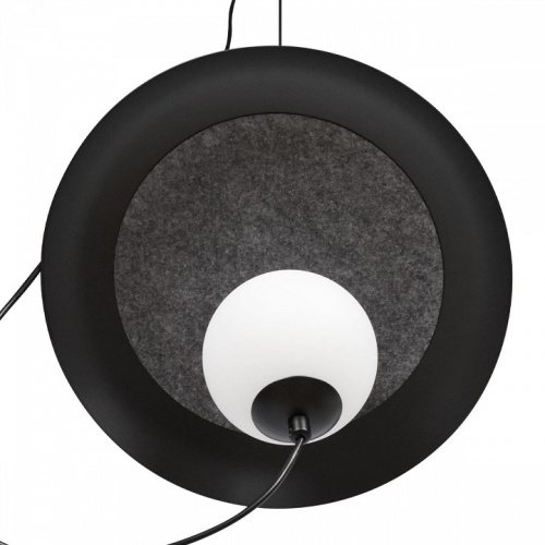 Подвесной светильник Loft it Wonders 10237P Black в Нижнем Новгороде фото 5