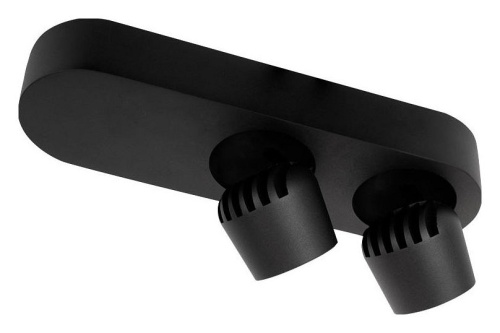 Накладной светильник Loft it Quiet 10320/2 Black в Нижнем Новгороде фото 5