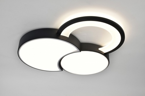 Потолочная люстра Rivoli Aliona Б0066452 в Нижнем Новгороде фото 6