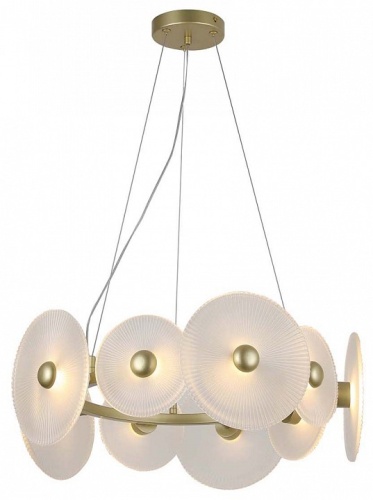 Подвесной светильник F-promo Arctium 4605-8P в Нижнем Новгороде фото 5