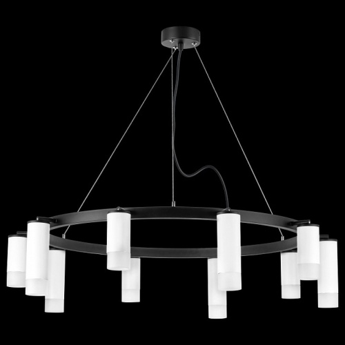 Подвесная люстра Lightstar Rullo LR0203658651 в Нижнем Новгороде фото 4