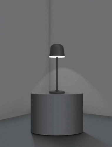 Настольная лампа декоративная Eglo ПРОМО Mannera 900457 в Бугульме фото 5