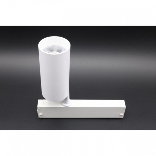 Светильник на штанге Aployt Magnetic track 220 APL.0205.10.20 в Нижнем Новгороде фото 2