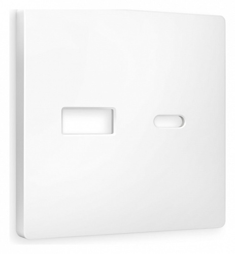 Накладка для розетки type A и C Ambrella Volt ALFA AP1310 в Нижнем Новгороде