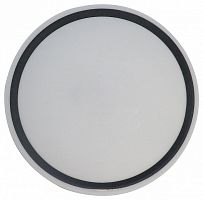 Накладной светильник Zortes Bella ZRS.1201.07 в Нижнем Новгороде