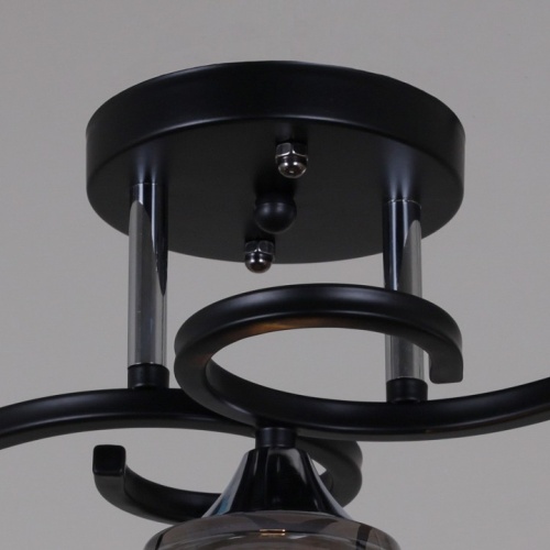 Светильник на штанге 06089-0.3-03 BK+CR в Нижнем Новгороде фото 2