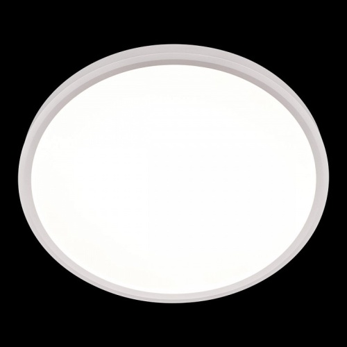 Накладной светильник Loft it Extraslim 10227/40 White в Соколе фото 5