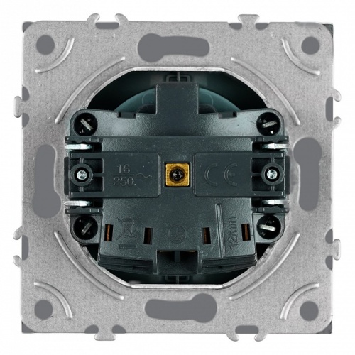 Розетка с заземлением и со шторкой, без рамки Stekker Эмили 50243 в Нижнем Новгороде фото 2