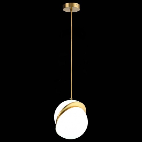 Подвесной светильник ST-Luce Laico SL1164.303.01 в Нижнем Новгороде фото 4