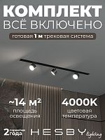 Комплект трековый Hesby Lighting Skylite №13 HSBL_kompl_S013_VI1B4K в Нижнем Новгороде