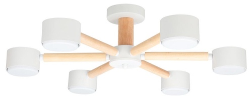 Потолочная люстра Arte Lamp TENDA A1624PL-6WH в Нижнем Новгороде