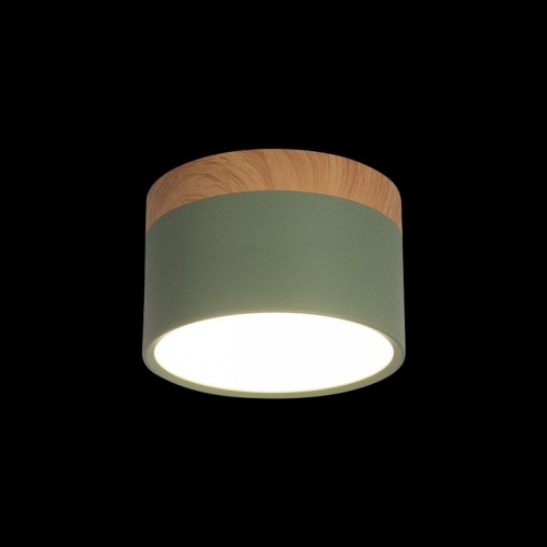 Накладной светильник Loft it Grape 10162 Green в Нижнем Новгороде фото 2