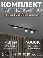 Комплект трековый Hesby Lighting Skylite №14 HSBL_kompl_S014_VI1B4K в Нижнем Новгороде