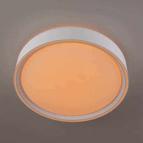 Накладной светильник Citilux BOSS CL751250G в Нижнем Новгороде фото 2