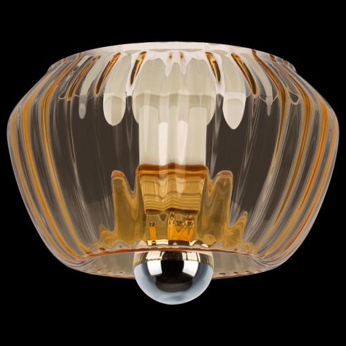 Накладной светильник Lightstar Celesta 809003 в Нижнем Новгороде фото 7