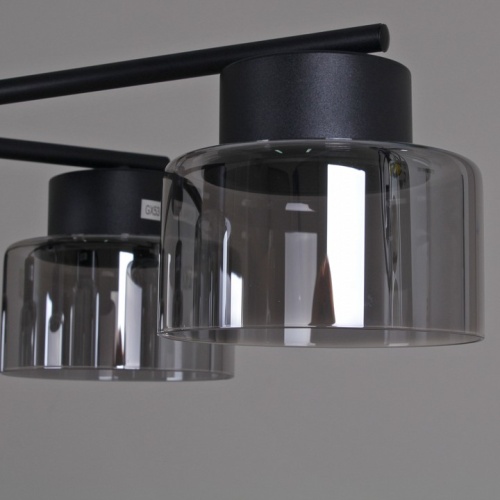 Люстра на штанге 47010-0.3-08 BK в Нижнем Новгороде фото 2