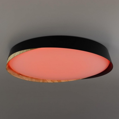 Накладной светильник Citilux BONNY CL754451G в Нижнем Новгороде фото 4