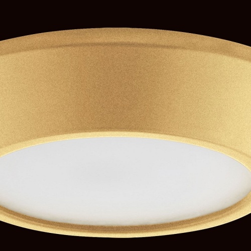 Накладной светильник Lightstar Urbano mini 214732 в Нижнем Новгороде фото 2