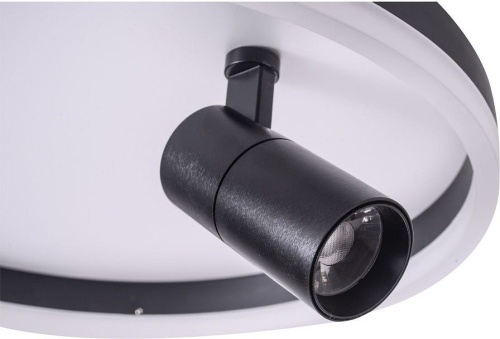 Накладной светильник Zortes Raizy ZRS.1888.03 в Нижнем Новгороде фото 4