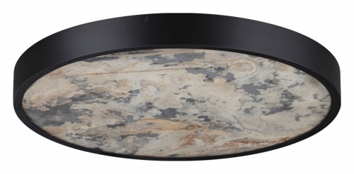 Накладной светильник Odeon Light Bergi 5064/40L в Нижнем Новгороде фото 6