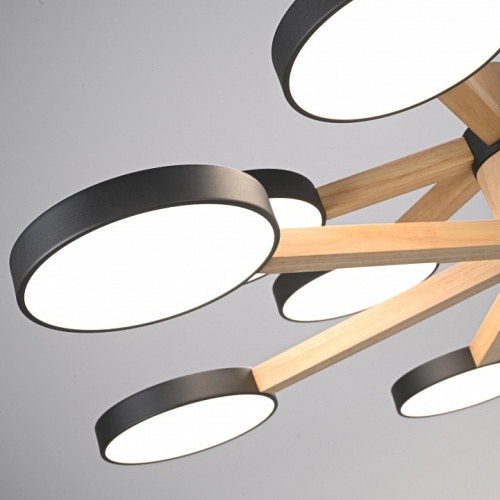 Люстра на штанге Imperiumloft TURNA Black TURNA-DBL01 в Нижнем Новгороде фото 3