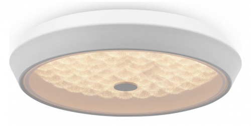 Накладной светильник Freya Cells FR10012CL-L24W в Нижнем Новгороде фото 3