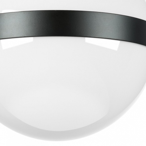 Накладной светильник Lightstar Globo 812117 в Нижнем Новгороде фото 2