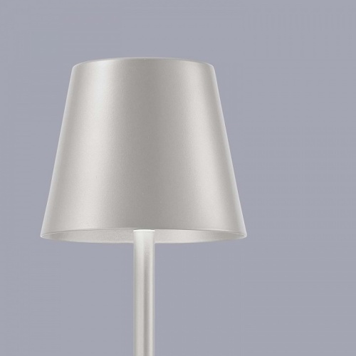 Настольная лампа декоративная F-promo Pyari 4617-1T в Нижнем Новгороде фото 4