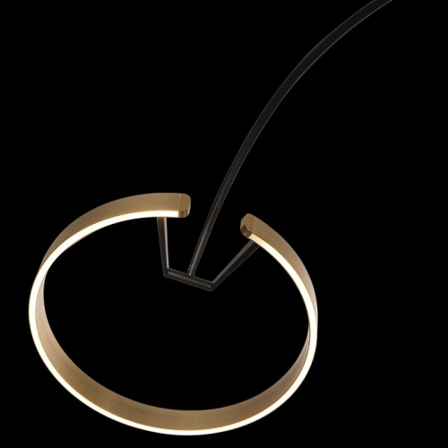 Торшер Loft it Ring 10027 в Нижнем Новгороде фото 6