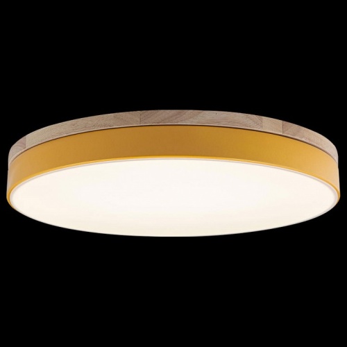 Накладной светильник Loft it Axel 10001/36 Yellow в Нижнем Новгороде фото 3