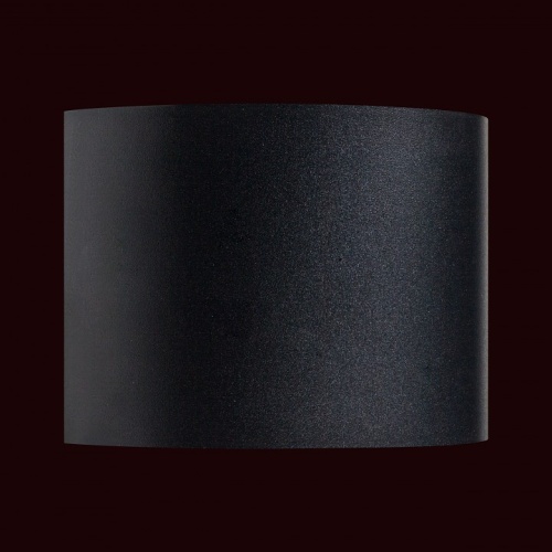 Накладной светильник Lightstar Dalla 340557 в Нижнем Новгороде фото 3