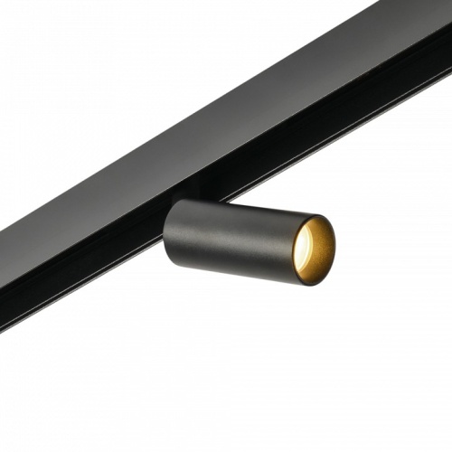 Светильник на штанге MyFar Ray MT0220-7W3K-B в Нижнем Новгороде фото 3