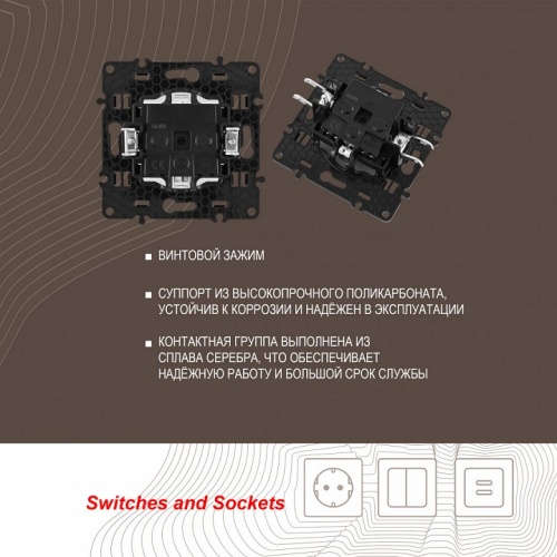 Розетка с заземлением и со шторкой, без рамки Arte Milano am-217 217.40-1.shampan в Нижнем Новгороде фото 2