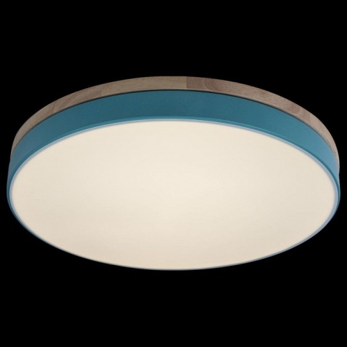 Накладной светильник Loft it Axel 10001/36 Blue в Нижнем Новгороде фото 6