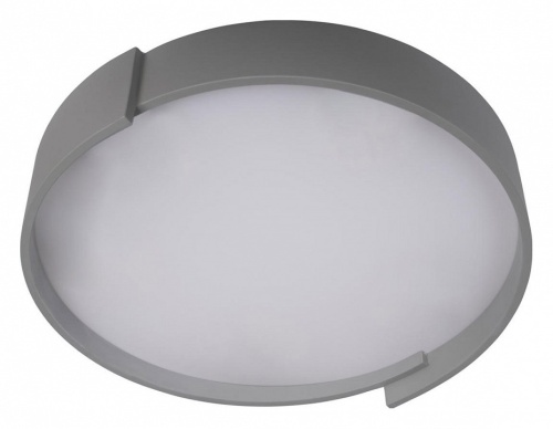 Накладной светильник Loft it Coin 10200 Grey в Белом фото 5