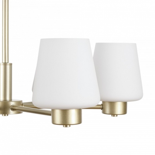 Подвесная люстра MyFar Mark MR2341-6P в Нижнем Новгороде фото 6