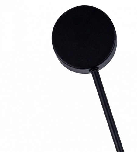 Накладной светильник Kink Light Фирс 2208-2,19 в Нижнем Новгороде фото 2